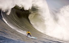 【kaiyun】红魔紧急斡旋！曼联与非洲足协谈判，力争三将出战狼队