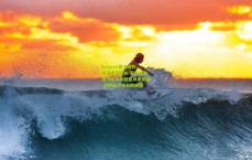 kaiyun|西汉姆联锋线遭遇重创 菲尔克鲁格训练中大腿肌肉束撕裂 纳帅确认将长期缺阵