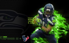 kaiyun-C罗里程碑之夜统领战局，葡萄牙三球完胜爱尔兰，B费传射，新星闪耀未来