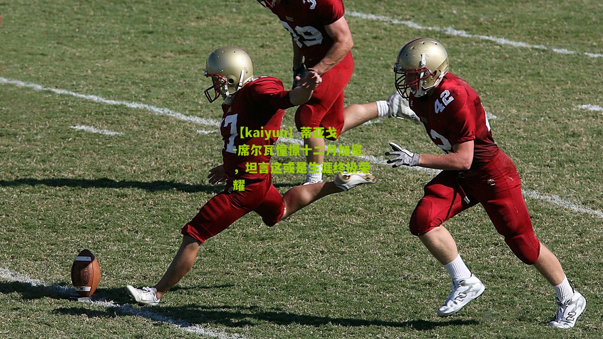 蒂亚戈-席尔瓦憧憬十二月加冕，坦言这或是生涯终极荣耀